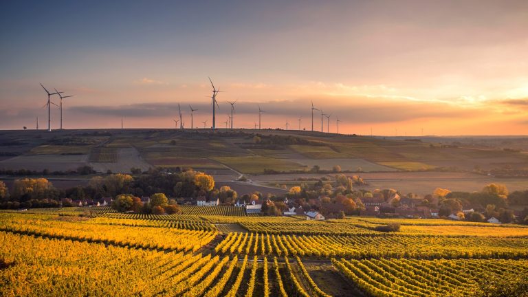 Landschaft