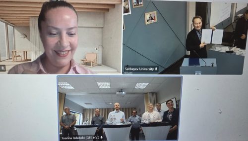 Screenshot von einem Online-Meeting