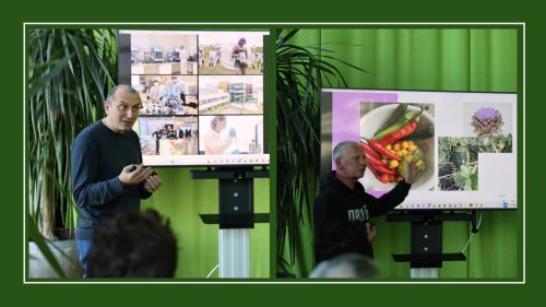 Collage aus zwei Fotos vor grünem Vorhang: Links steht ein Referent vor einem Bildschirm mit mehreren Bildkacheln aus unterschiedlichen Anwendungsbereichen. Rechts präsentiert eine weitere Person vor einem Bildschirm mit Fotos von Gemüse und einer Blüte. Im Vordergrund sind jeweils Zuhörende angeschnitten zu sehen.