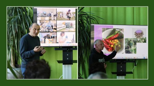 Collage aus zwei Fotos vor grünem Vorhang: Links steht ein Referent vor einem Bildschirm mit mehreren Bildkacheln aus unterschiedlichen Anwendungsbereichen. Rechts präsentiert eine weitere Person vor einem Bildschirm mit Fotos von Gemüse und einer Blüte. Im Vordergrund sind jeweils Zuhörende angeschnitten zu sehen.