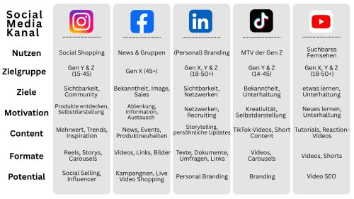 Erklärgrafik dazu was jedes Social Media Kanal kann