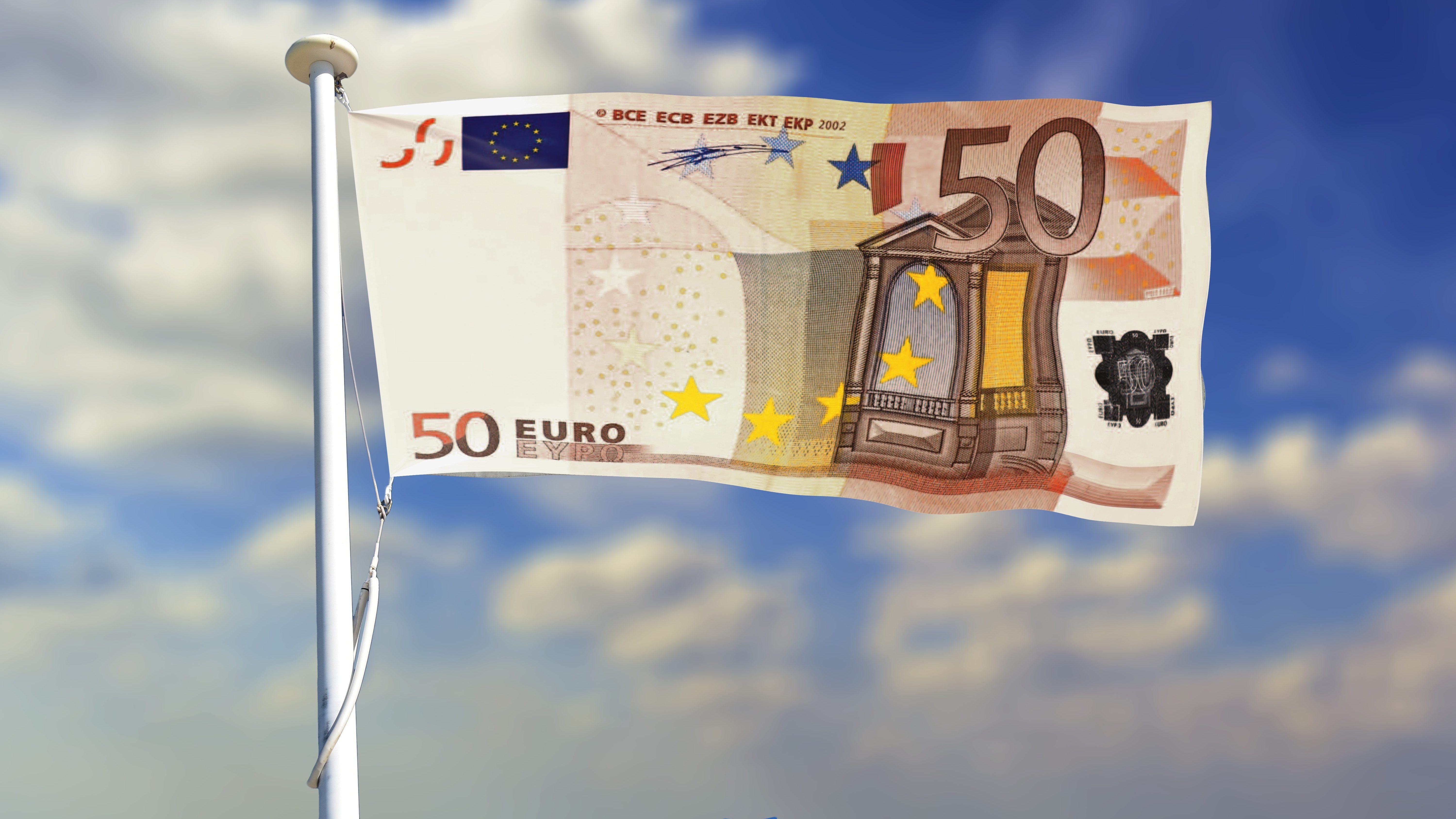 Geld Flagge im Wind 50€ Flagge die im Wind weht.
